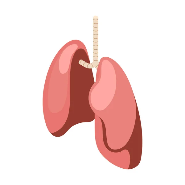 Healthy Lungs Icon — Stock Vector