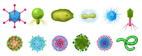 Viruses Realistic Icons Set