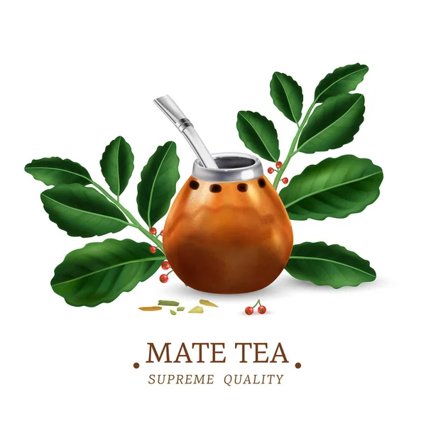 Ilustracja herbaty Mate — Wektor stockowy