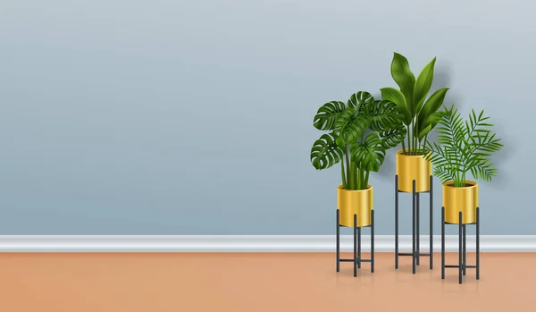 Plantas de Casa Realistas — Archivo Imágenes Vectoriales