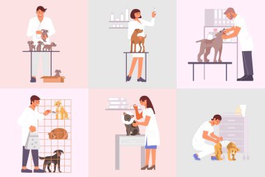 Veterinerlik Kliniği Düz Kompozisyonları
