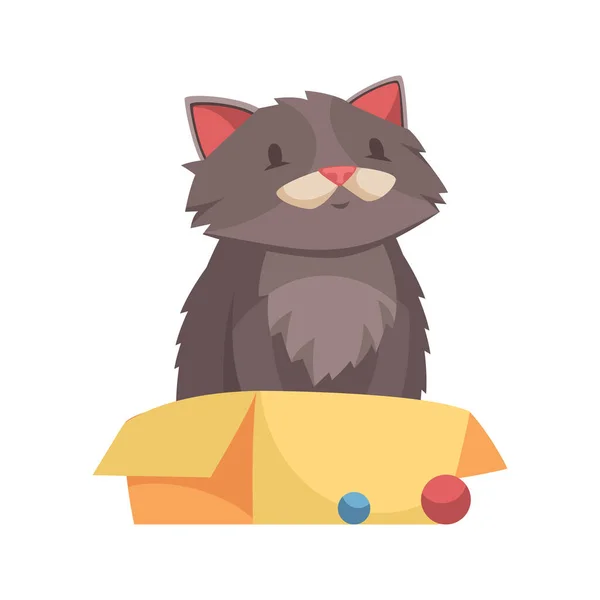 Illustratie voor volwassen katten — Stockvector