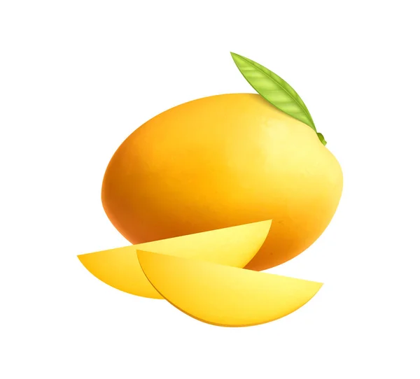 Mango realistische Illustration — Stockvektor