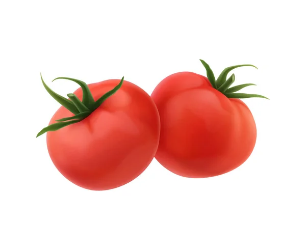 Tomat ilustrasi yang realistis - Stok Vektor