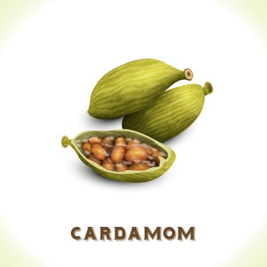 Cardamom isolated on white clipart