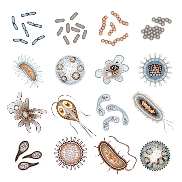 Bacteriën en virus cellen — Stockvector