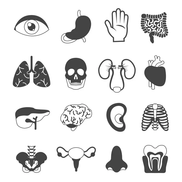 Organes humains mis en noir et blanc — Image vectorielle