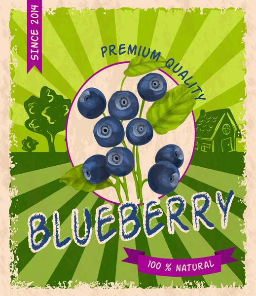 Blaubeeren-Retro-Poster — Stockvektor