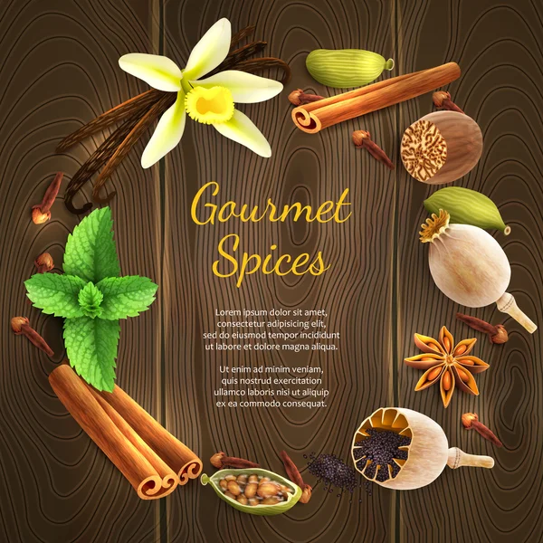 Spices on dark background — Stock Vector