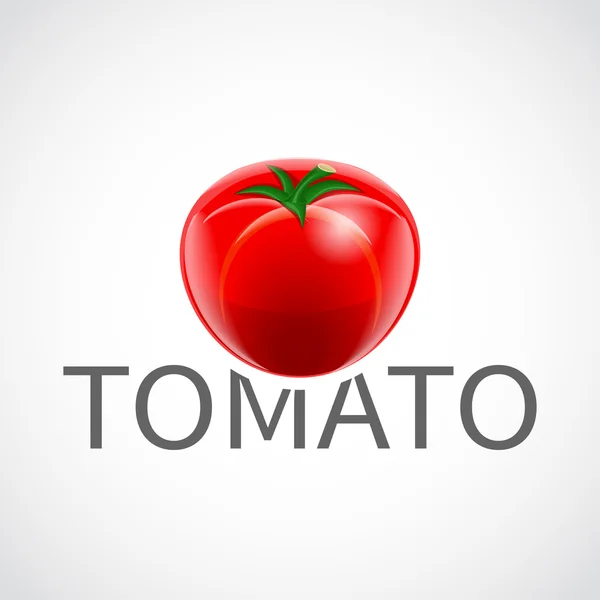 Cartaz realista de tomate — Vetor de Stock