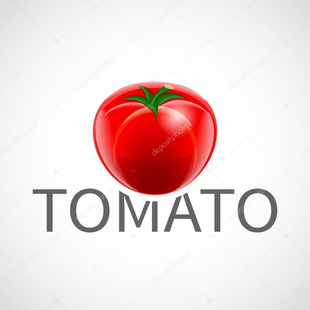 Red ripe fresh tomato realistic poster vector illustration.
