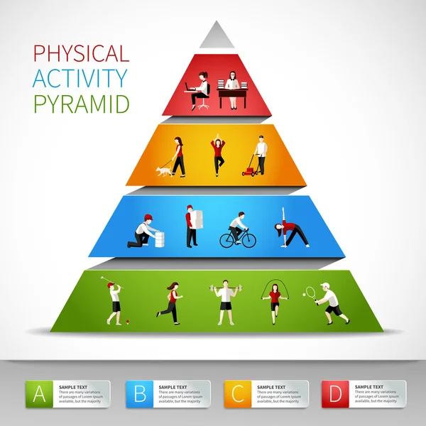 Infographie pyramidale de l'activité physique — Image vectorielle