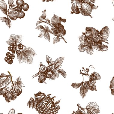 Sketch berries seamless pattern clipart