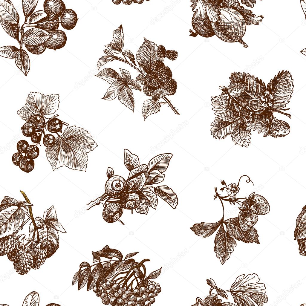 Sketch berries seamless pattern