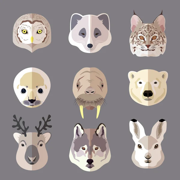 Animal portrait flat icon set — Stock Vector