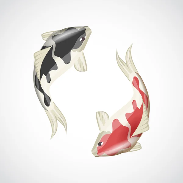 Ilustrasi ikan Koi - Stok Vektor