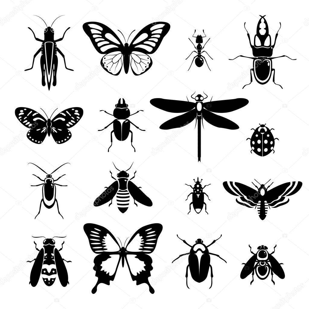 Insects icons set black and white