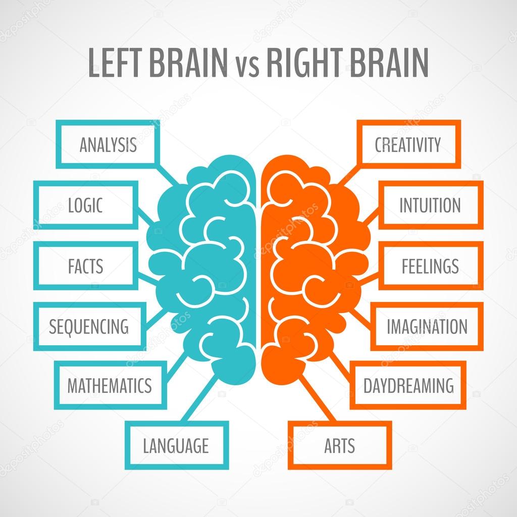 Brain hemispheres infographics