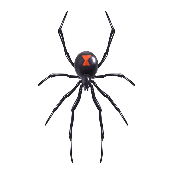 Araña realista aislada — Vector de stock