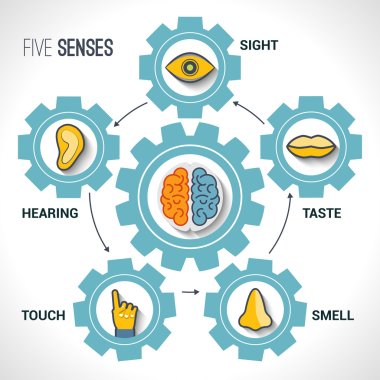 Five senses concept clipart