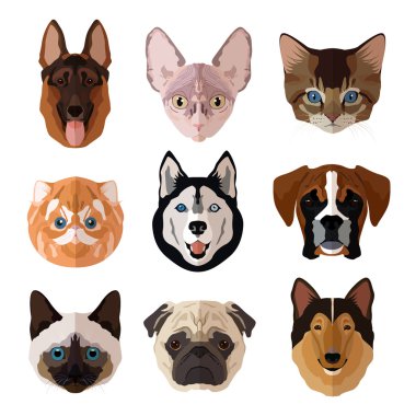 Evcil hayvan portre düz Icon set