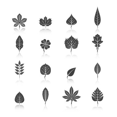 Plant Leaves Black Icons Set clipart