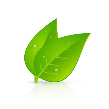 Green leaves realistic image print clipart