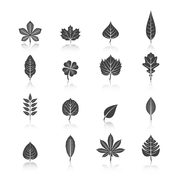 Roślin liści czarnej ikony zestaw — Wektor stockowy