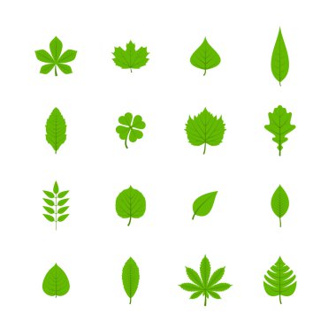 Green leaves flat icons set clipart