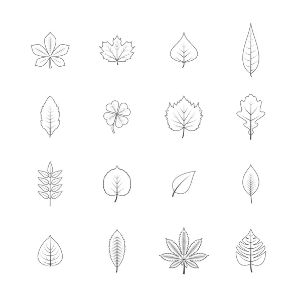 Plant leaves line icons set — Stock Vector