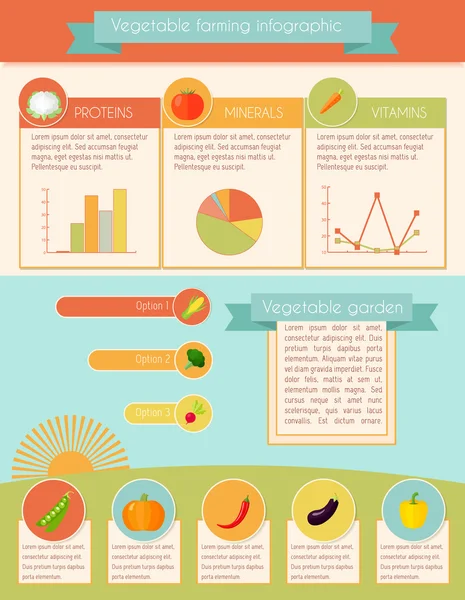 Vegetables Infographic Set — Stock Vector