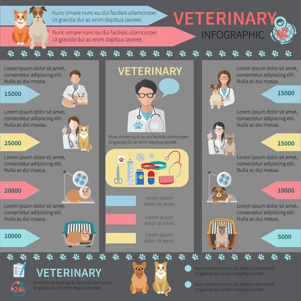 Kit d'infographie vétérinaire — Image vectorielle