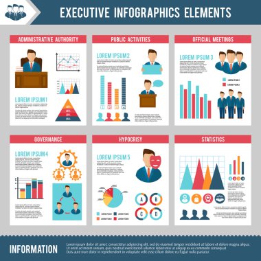 Executive Infographics Set