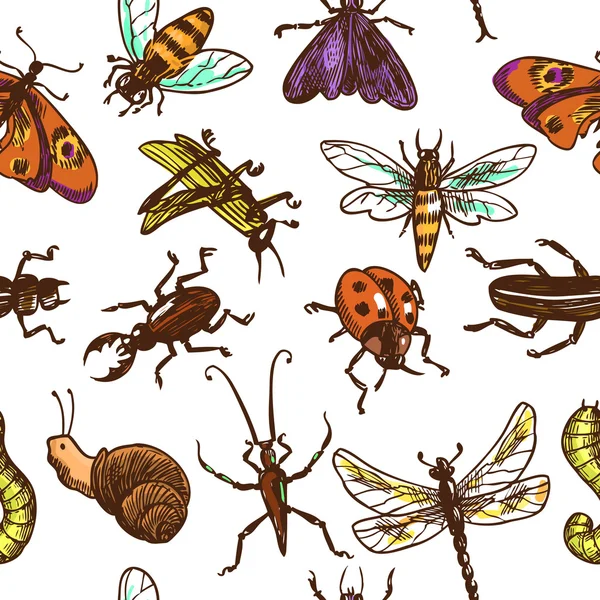 Insects sketch seamless pattern color — Stock Vector