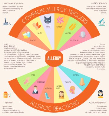 Alerji infographics seti
