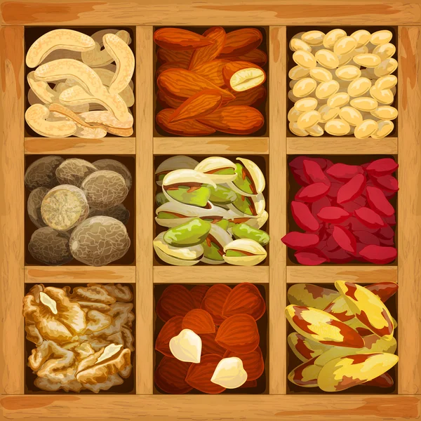 Nuts Collection Assorted — Stock Vector