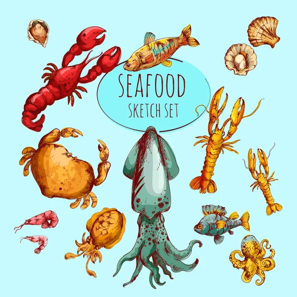 Seafood Sketch Colored — Stock Vector