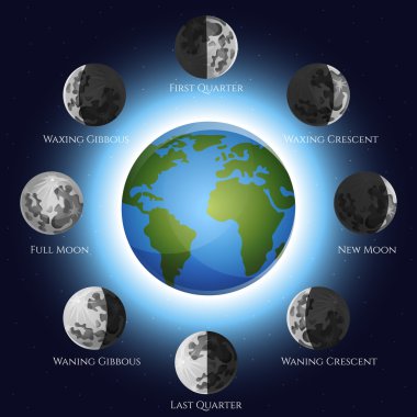 Moon Phases Illustration clipart