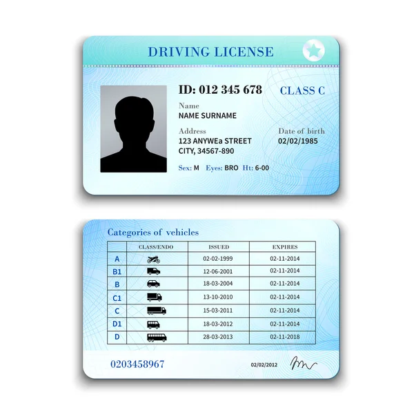 Ilustracja licencji kierowcy — Wektor stockowy