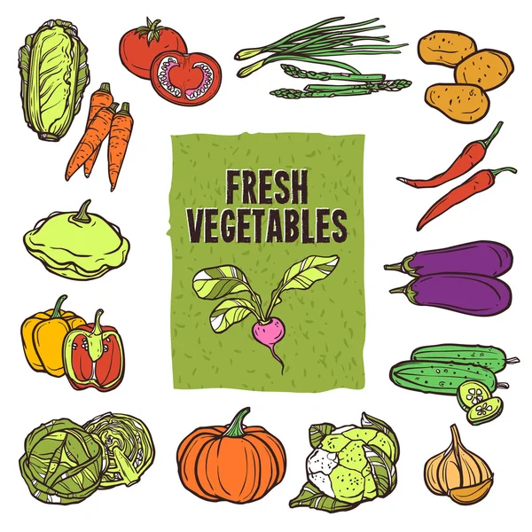 Vegetable Sketch Set — Stock Vector