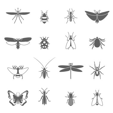 Böcekler Icons Set siyah