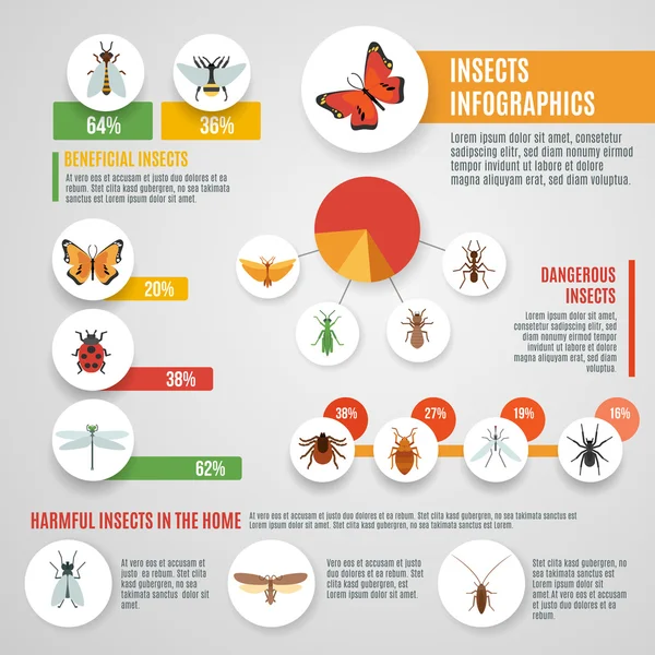 Conjunto infográfico de insetos —  Vetores de Stock