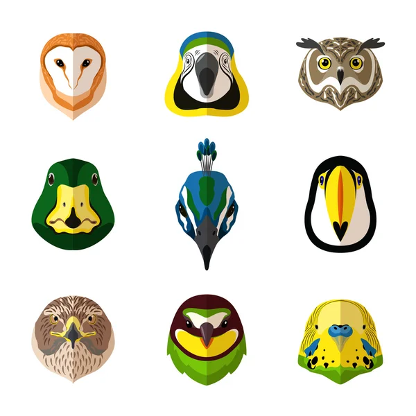 Set de aves silvestres — Archivo Imágenes Vectoriales
