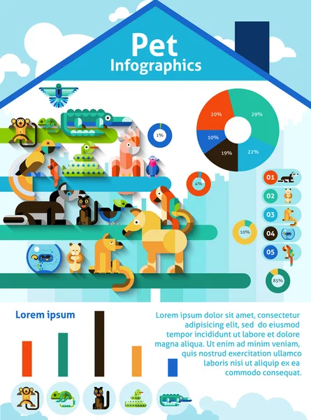 Infografiki zestaw dla zwierząt domowych — Wektor stockowy