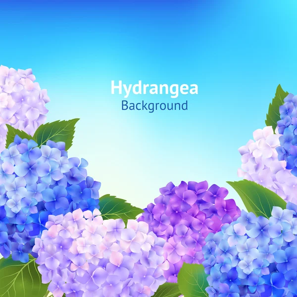 Hydrangée fleurs fond — Image vectorielle