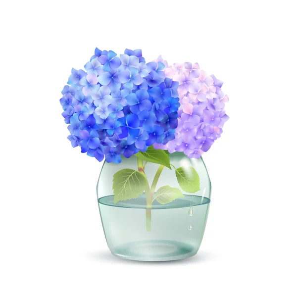 Hydrangea In Jar — Stock Vector