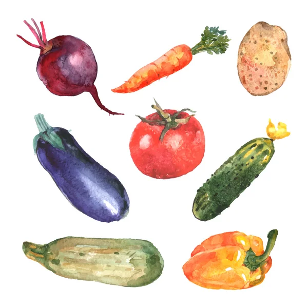 Watercolor Vegetables Set — Stock Vector