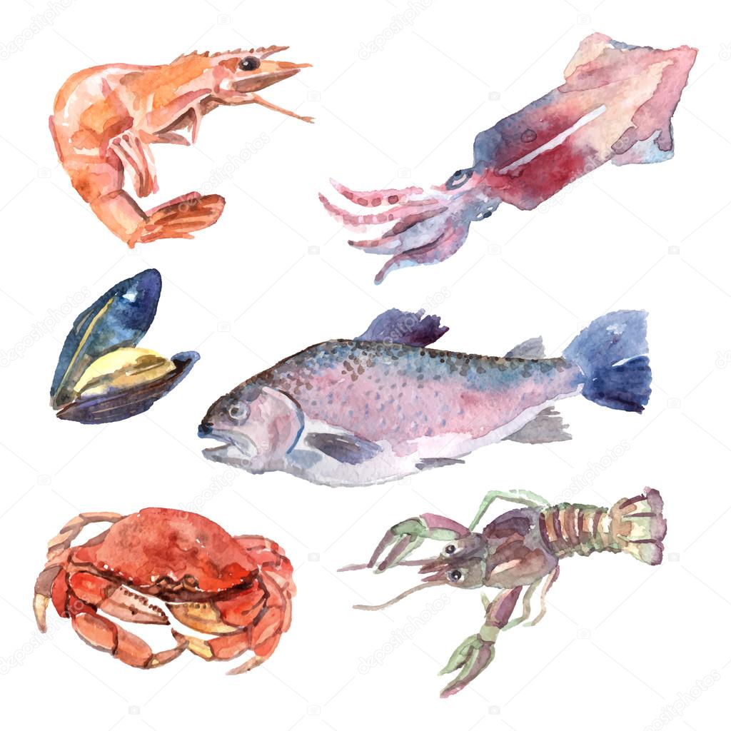 Watercolor Sea Food Set