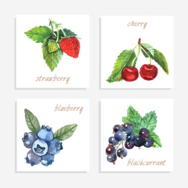 Berry kağıt kartları