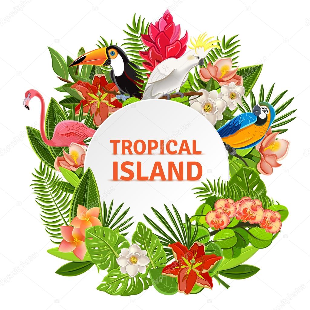 Tropical birs and flowers